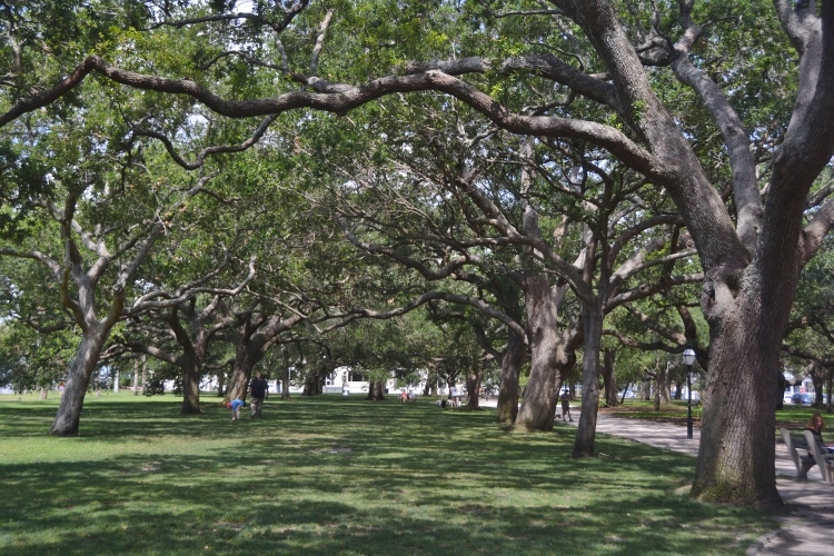 park 